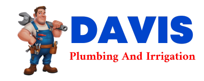 Trusted plumber in LOVEVILLE